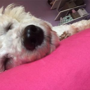 Meet your Posher, Maytte